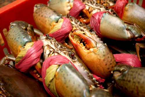 15 món ăn hải sản ngon nổi tiếng không nên bỏ qua